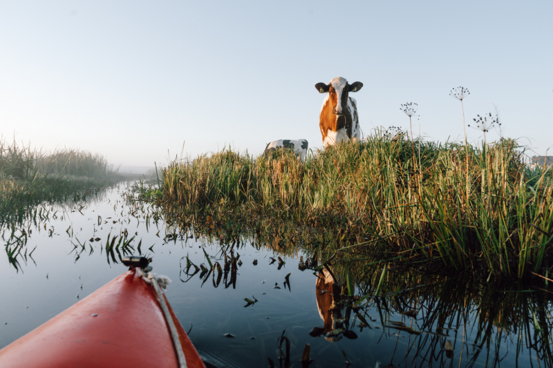 Kano-microavontuur in Friesland