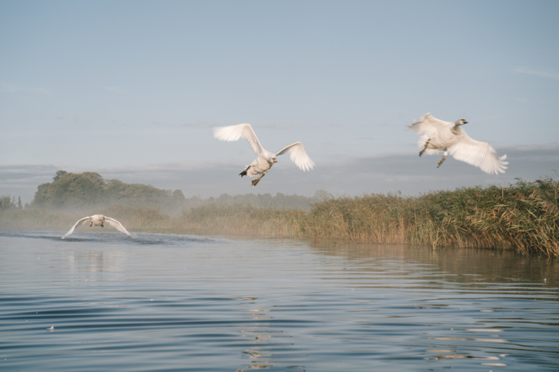 Tips voor een microavontuur in Friesland