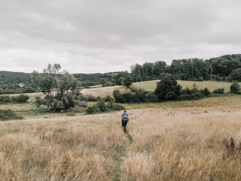 De Dutch Mountain Trail als Thematische meerdaagse wandelroute in Nederland De Dutch Mountain Trail als Thematische meerdaagse wandelroute in Nederland