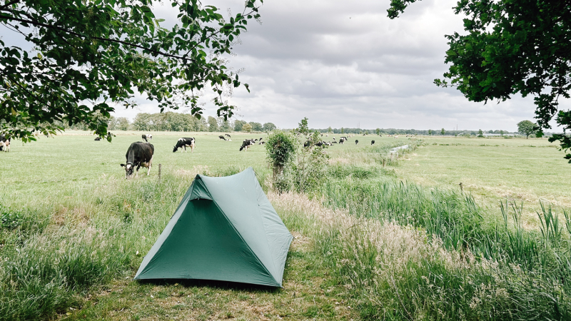 Laaghalerveld-natuurkampeerterrein