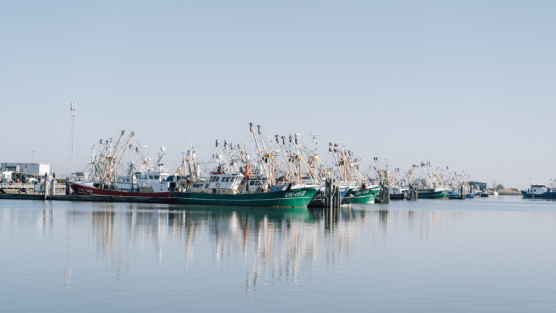 Lauwersoog-haven