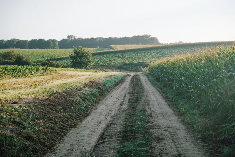 wandeltraining-limburg