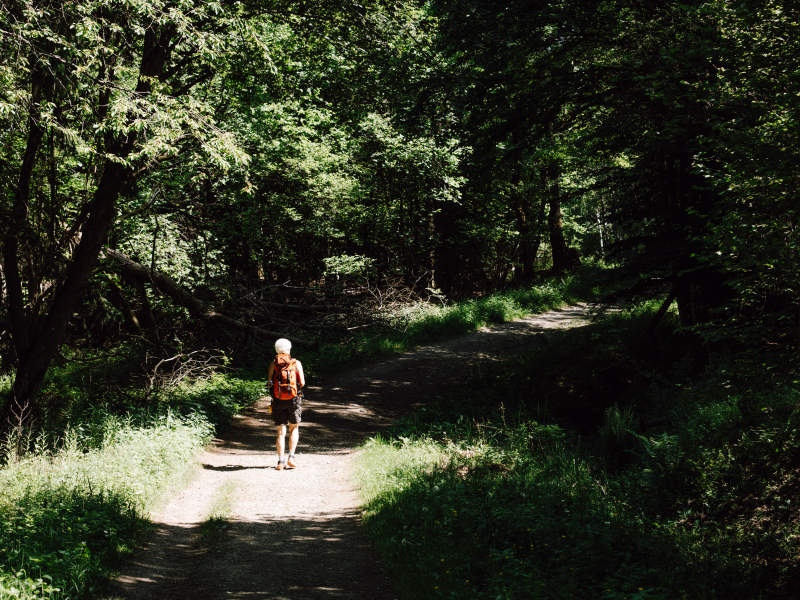 Meerdere dagen wandelen in Noordrijn-Westfalen