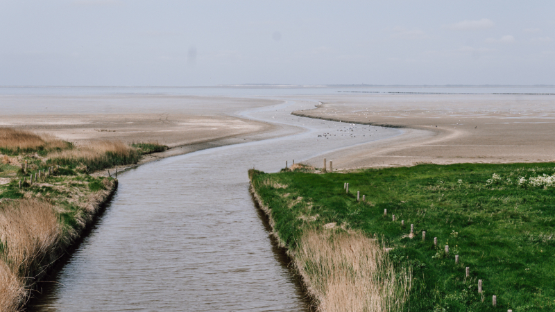 microavontuur-noordwest-friesland-wad