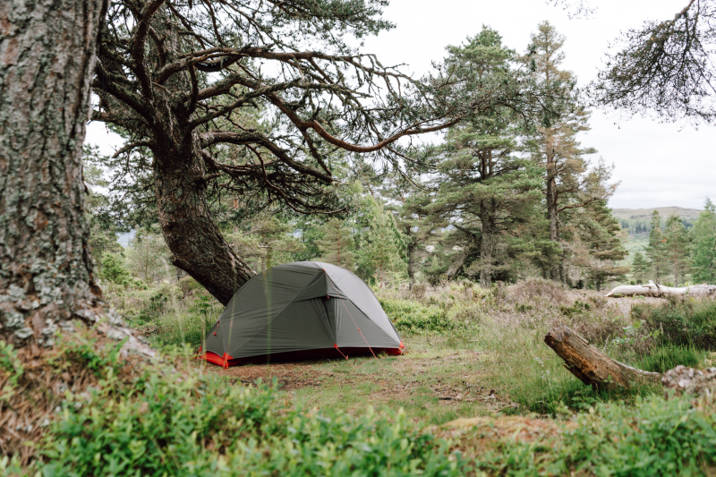 MSR Hubba NX msr-hubba