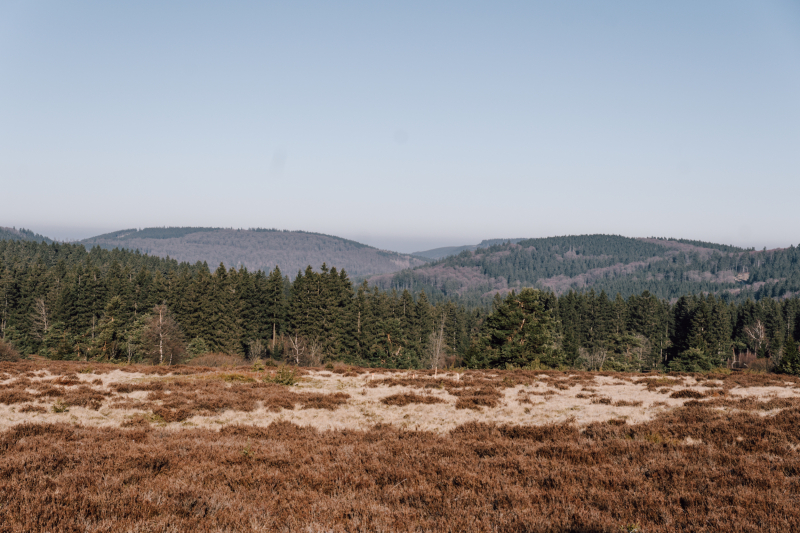 Neue Hagen langs de Rothaarsteig Neue Hagen langs de Rothaarsteig