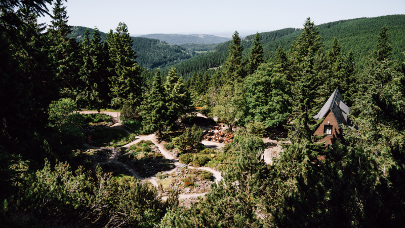 rennsteiggarten-thueringerwoud