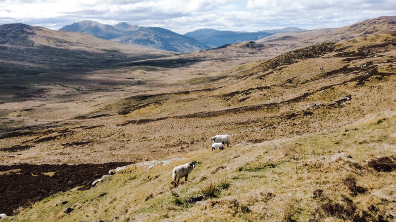 Rob Roy Way wandelroute