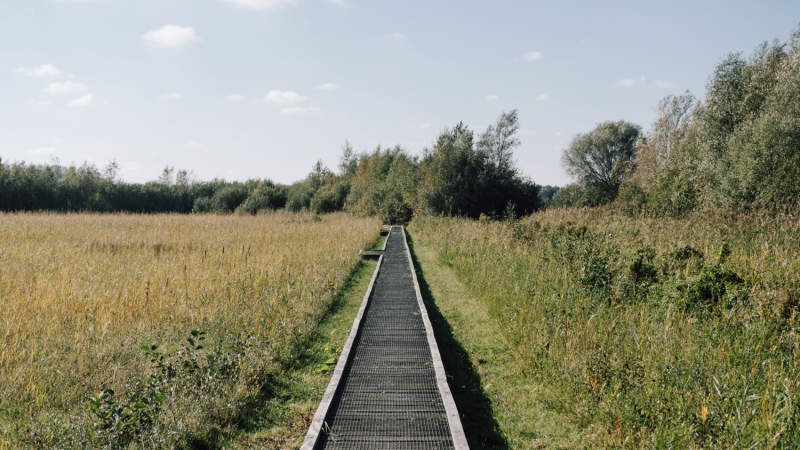 Rondje-Lauwersmeer-route