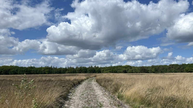 roots-3-daagse-wandelroute-veluwe