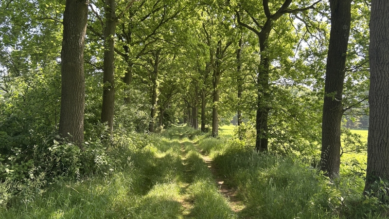 roots-langste-natuurpad-van-nederland