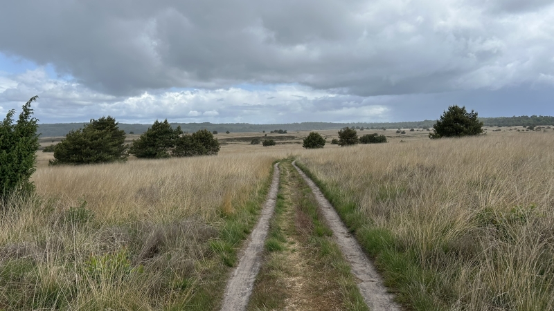 roots-meerdaagse-wandelroute