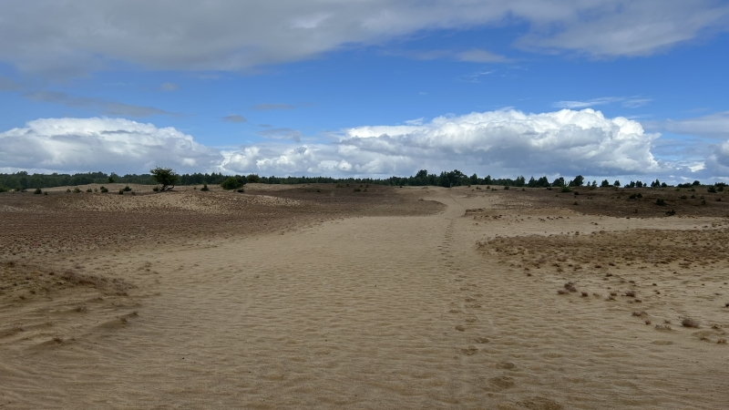 roots-natuurpad-hoog-soeren-hoenderloo