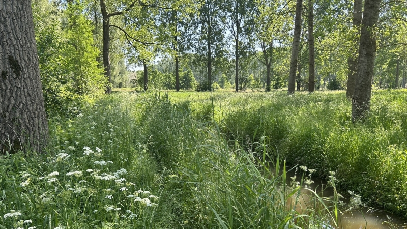 roots-natuurpad-wandelroute
