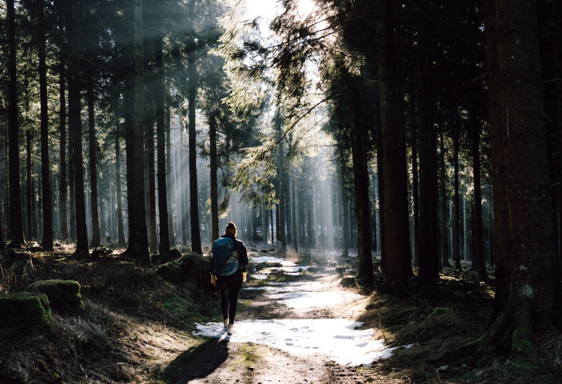 rothaarsteig rothaarsteig