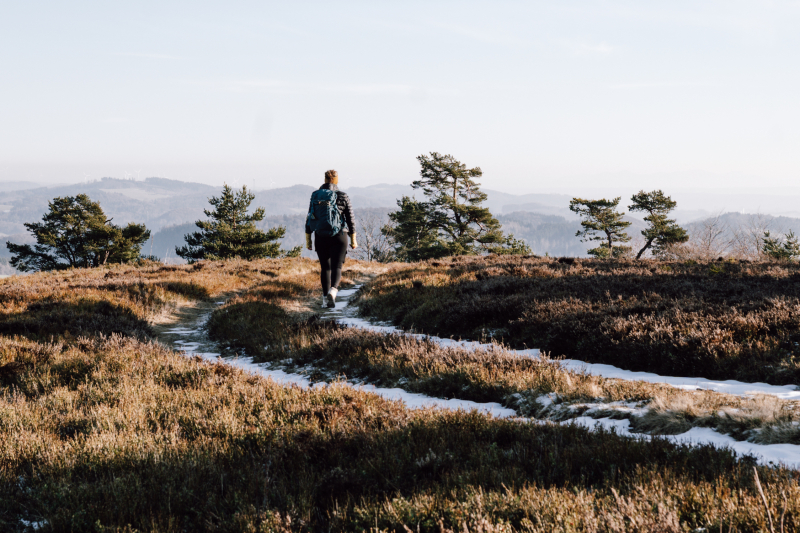 Rothaarsteig in Sauerland Rothaarsteig in Sauerland