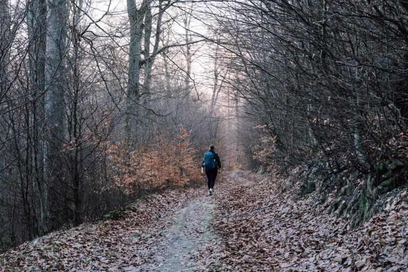 Rothaarsteig solowandelen Rothaarsteig solowandelen