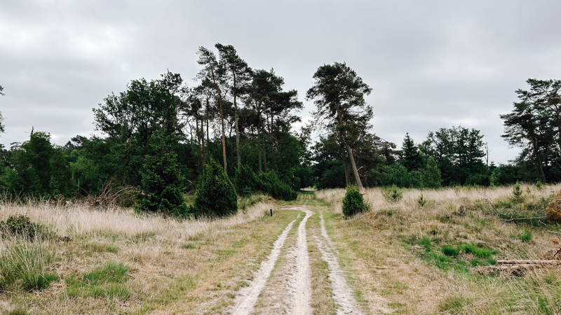 route-4-daagse-hike-drenthe
