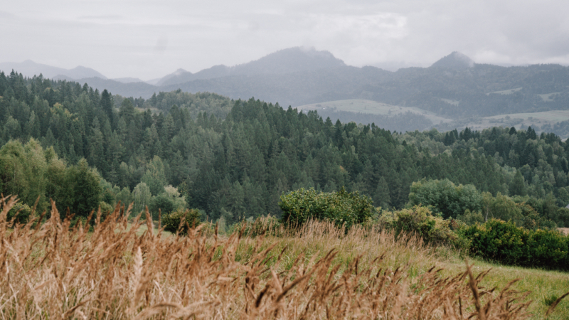 route-5-daagse-hike-malopolska