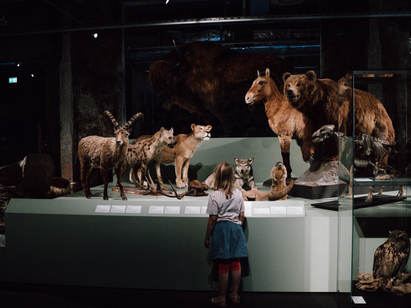 Ruhrmuseum aan de Zollvereinsteig bij Essen