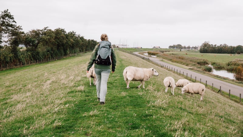 solo-3-daagse-wandelroute-zuidwest-friesland
