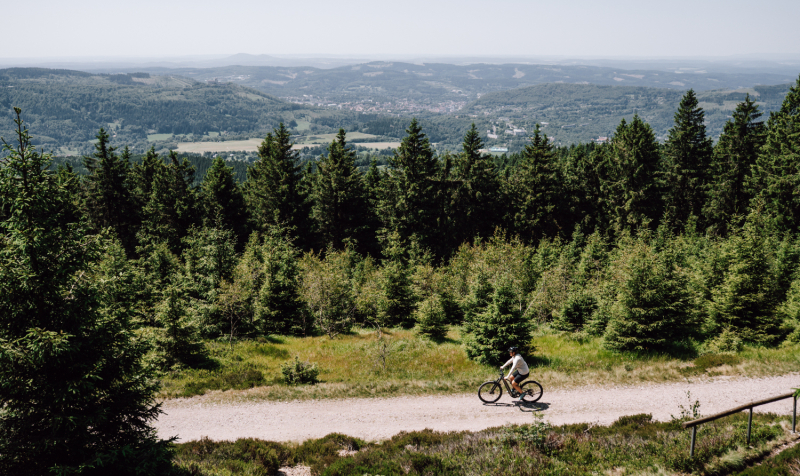 solo-fietsen-thueringerwoud