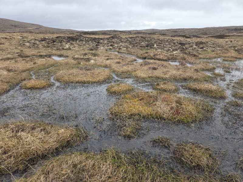 Solo de Hebridean Way wandelen