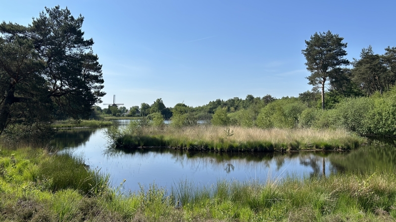 solo-wandelen-roots-natuurpad