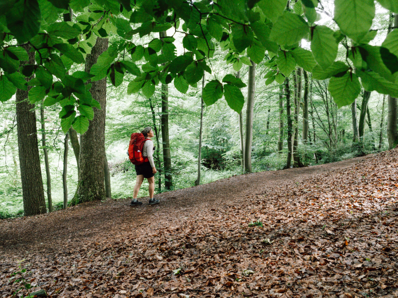 Solo op wandelweekend bij Keulen Solo op wandelweekend bij Keulen