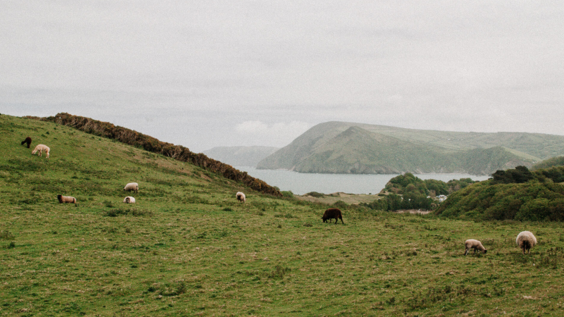lange-afstand-wandelroutes-engeland