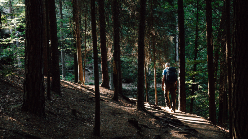 tips-wandelen-nationaal-park-sachsische-schweiz
