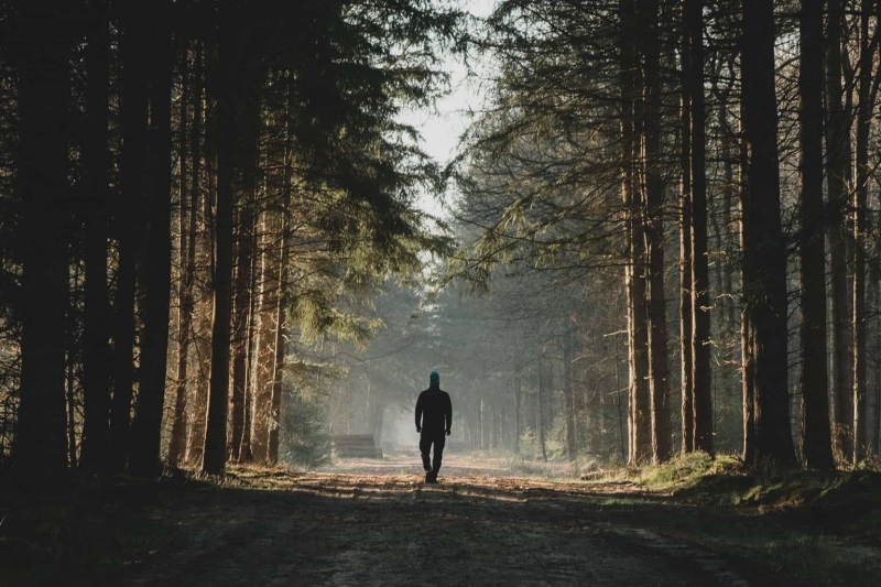 trainen-meerdaagse-wandeltocht