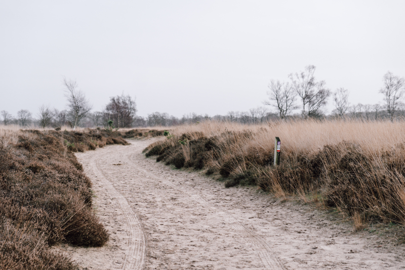 training-meerdaagse-wandeling