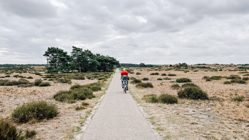 trekkershuttentocht-hoge-veluwe