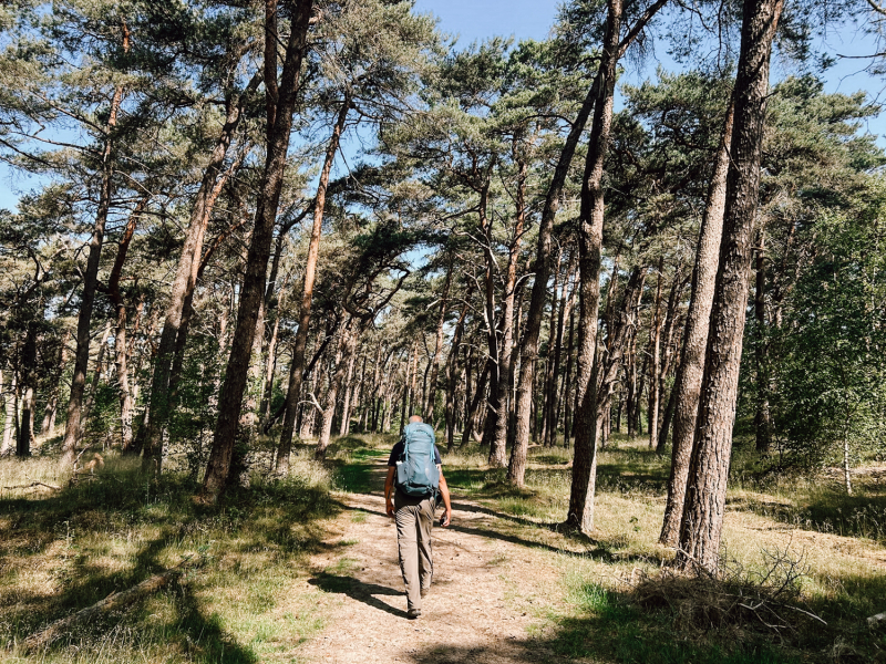 2-daagse wandeltocht met overnachting op de Veluwe