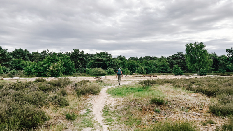 trekkershuttenwandeltocht-veluwe