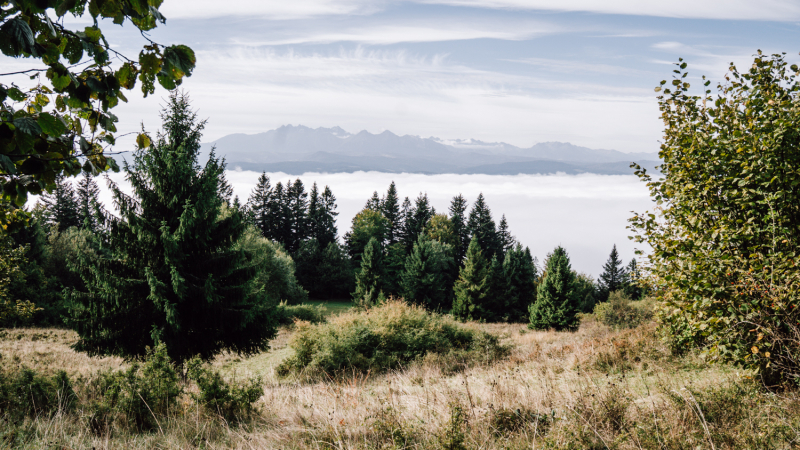 wandelen-in-polen-tips
