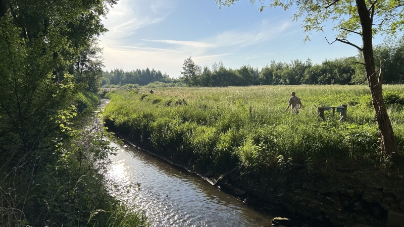 wandelen-liempde-goirle-2-daagse