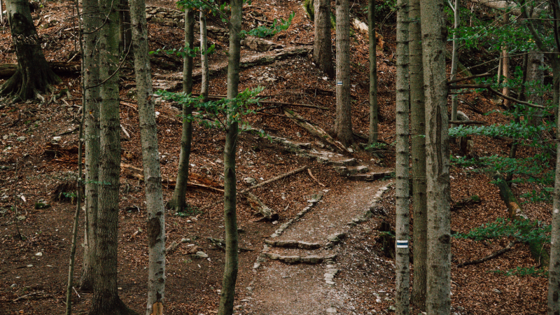 wandelen-polen