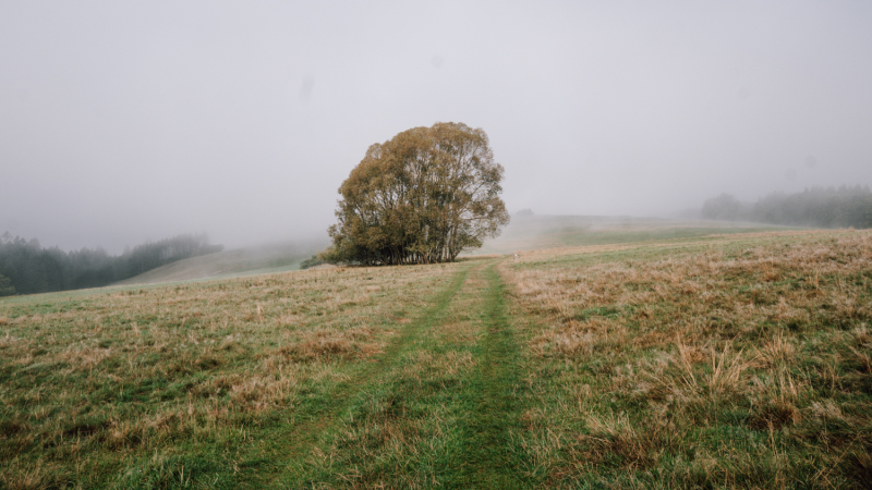 wandelen-polen-informatie