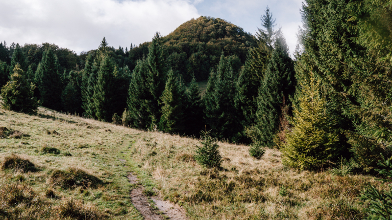 wandelen-polen-niet-duur