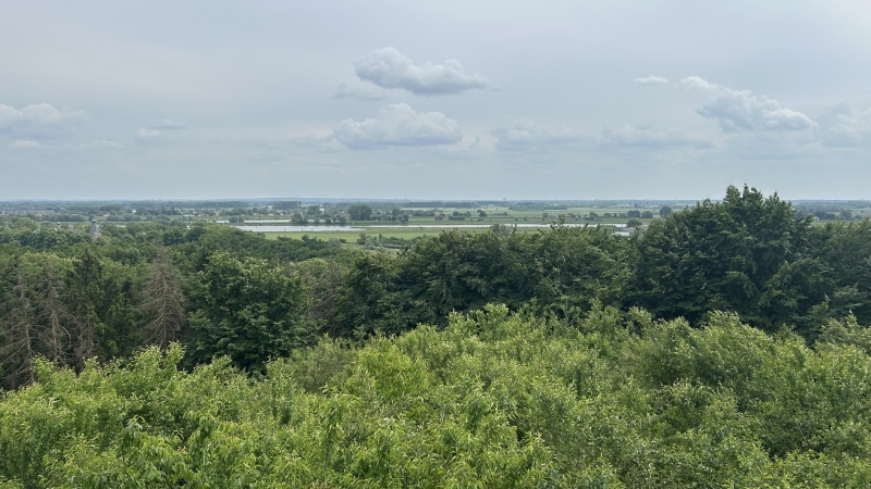 wandelen-roots-natuurpad