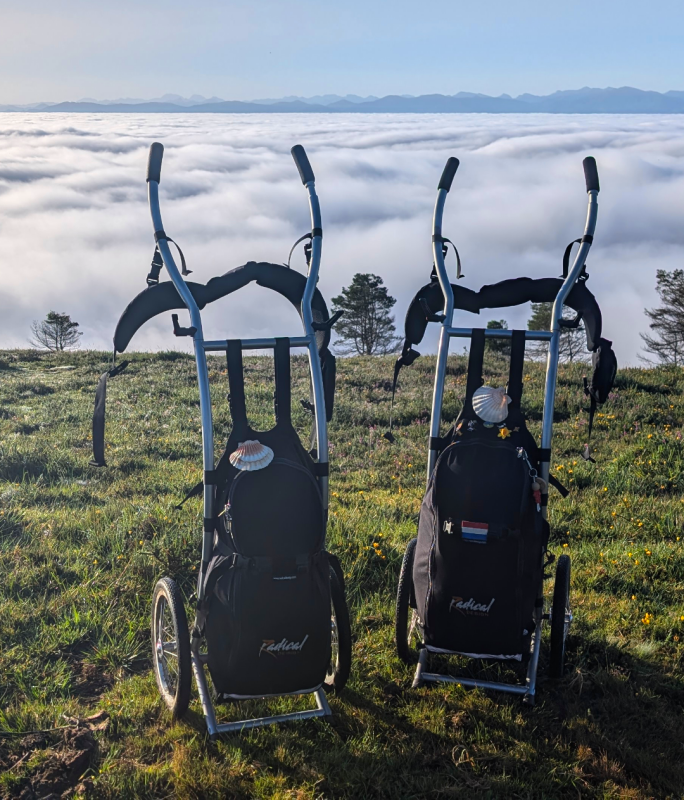 Wandelkar onderhouden