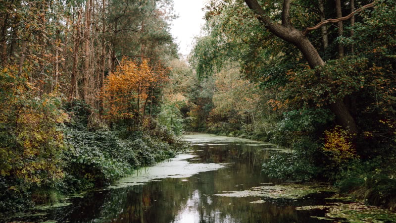 wandelroute-van-gogh-drenthe