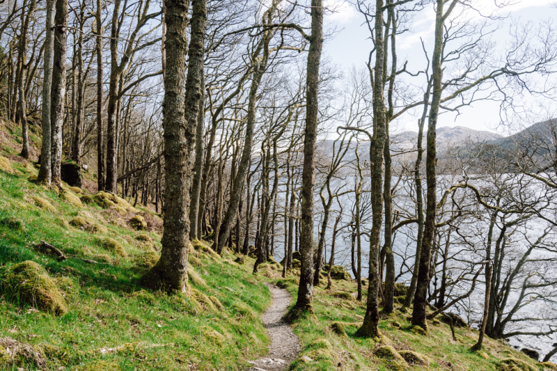 Wandelroute West Highland Way langs Loch Lomond Wandelroute West Highland Way langs Loch Lomond