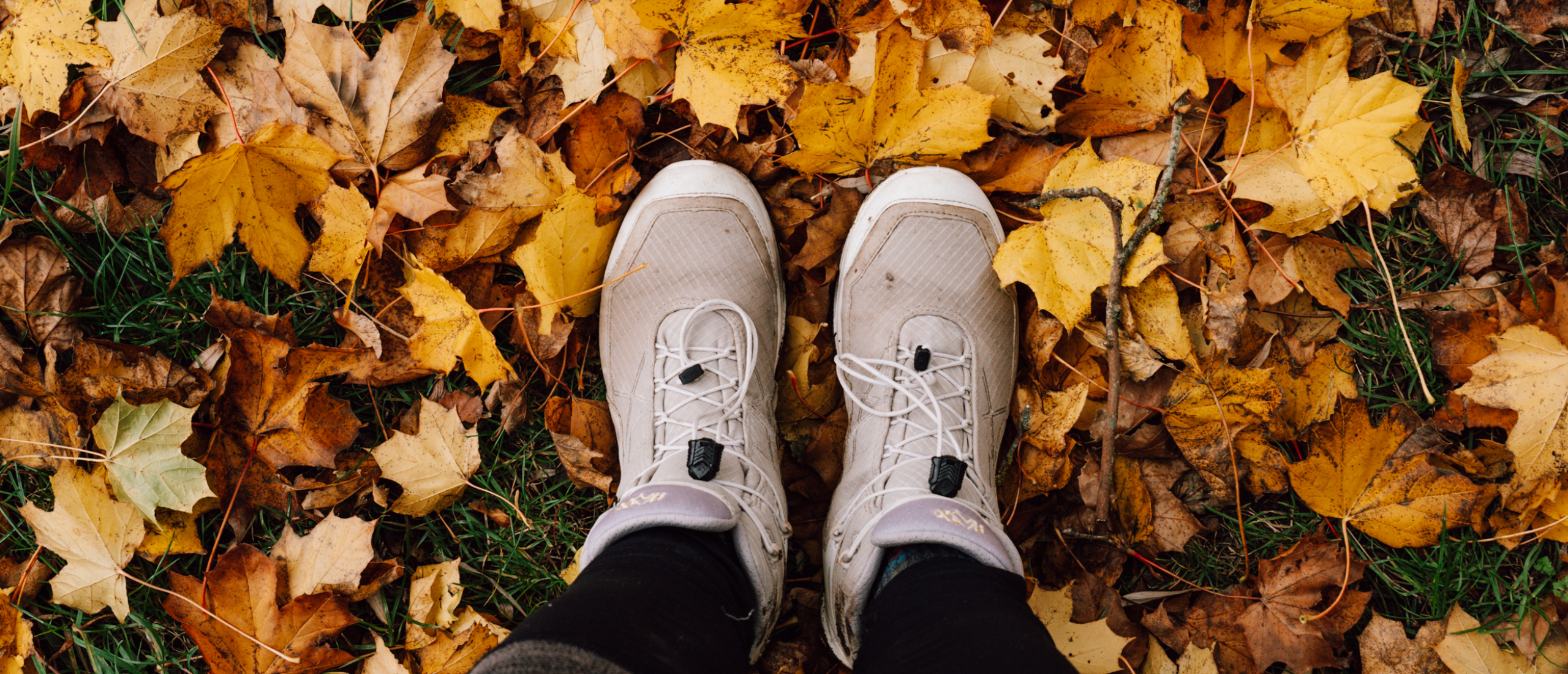 Wandeltraining: trainen voor een meerdaagse wandeltocht