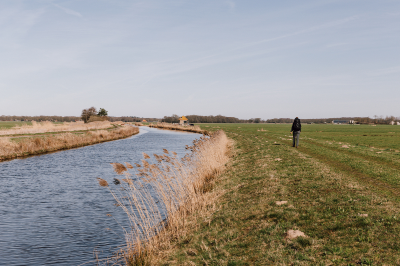 Wandelverslag 100 km van Appelscha