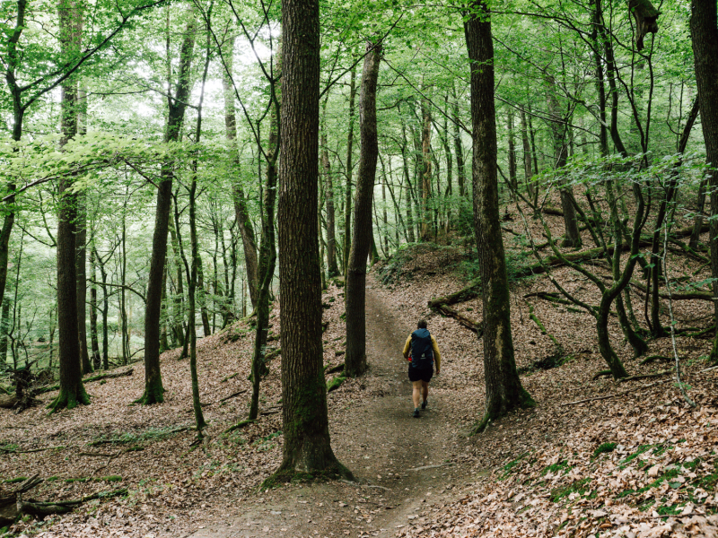 Wandelweekend vlakbij Keulen Wandelweekend vlakbij Keulen