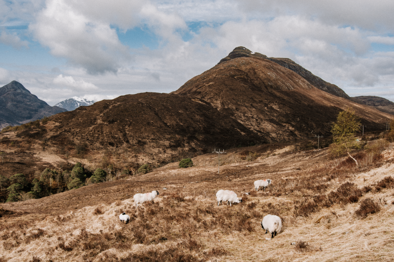 West Highland Way bij Kinlochleven West Highland Way bij Kinlochleven