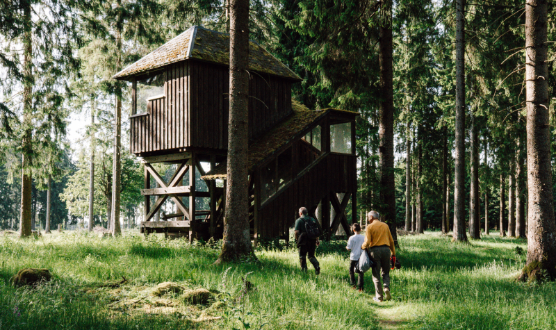 wildexcursie-thueringerwoud